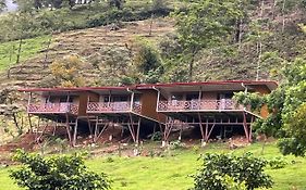 Bungalows Paraiso Celeste