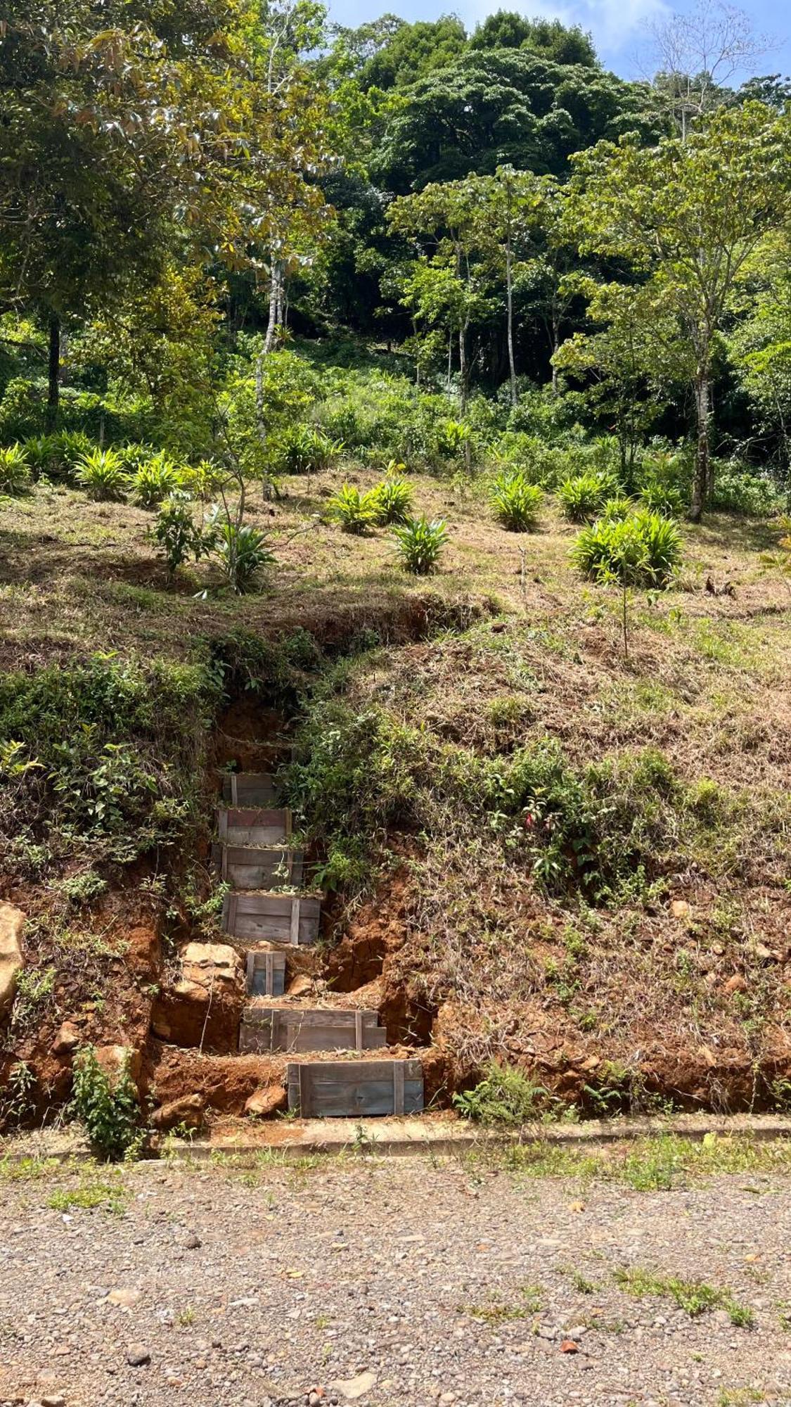Bungalows Paraiso Celeste Bujagua Buitenkant foto